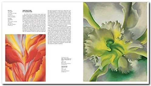 Georgia O'Keeffe - livre page 165