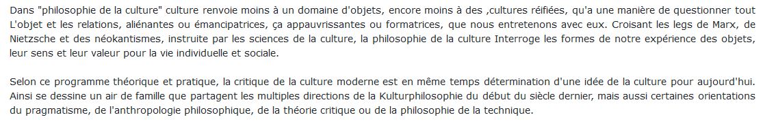 philosophie de la culture