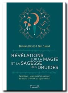 Révélations sur la magie et la sagesse des druides