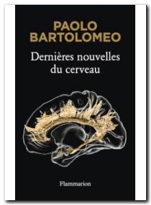 Dernières nouvelles du cerveau