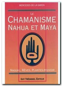 Le Chamanisme nahua et maya